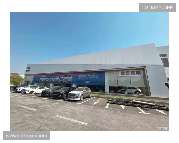 足球明星卡牌正版热潮来袭收藏你的偶像与荣耀瞬间 足球明星卡牌正版热潮来袭收藏你的偶像与荣耀瞬间