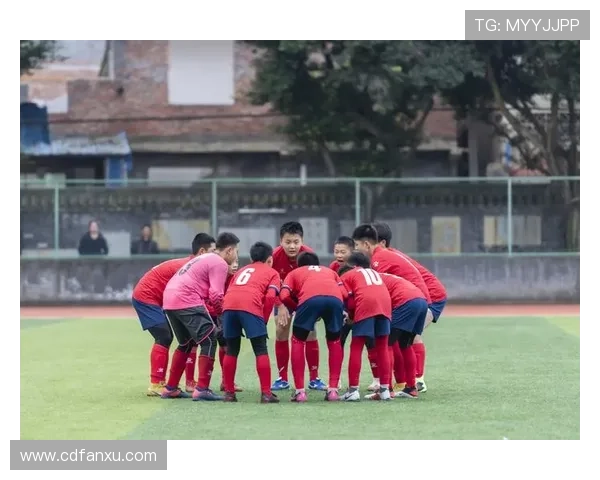 赛后分析：北京足球队与上海足球队心理素质对比及其影响因素探讨