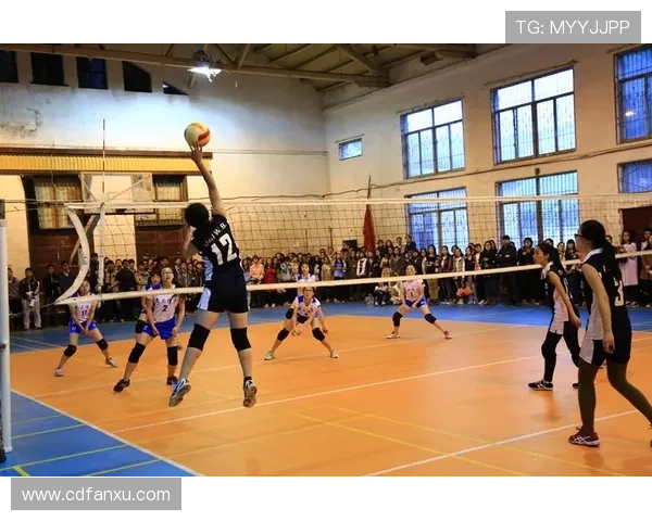 武汉排球队在杯赛中的比赛经验与表现分析